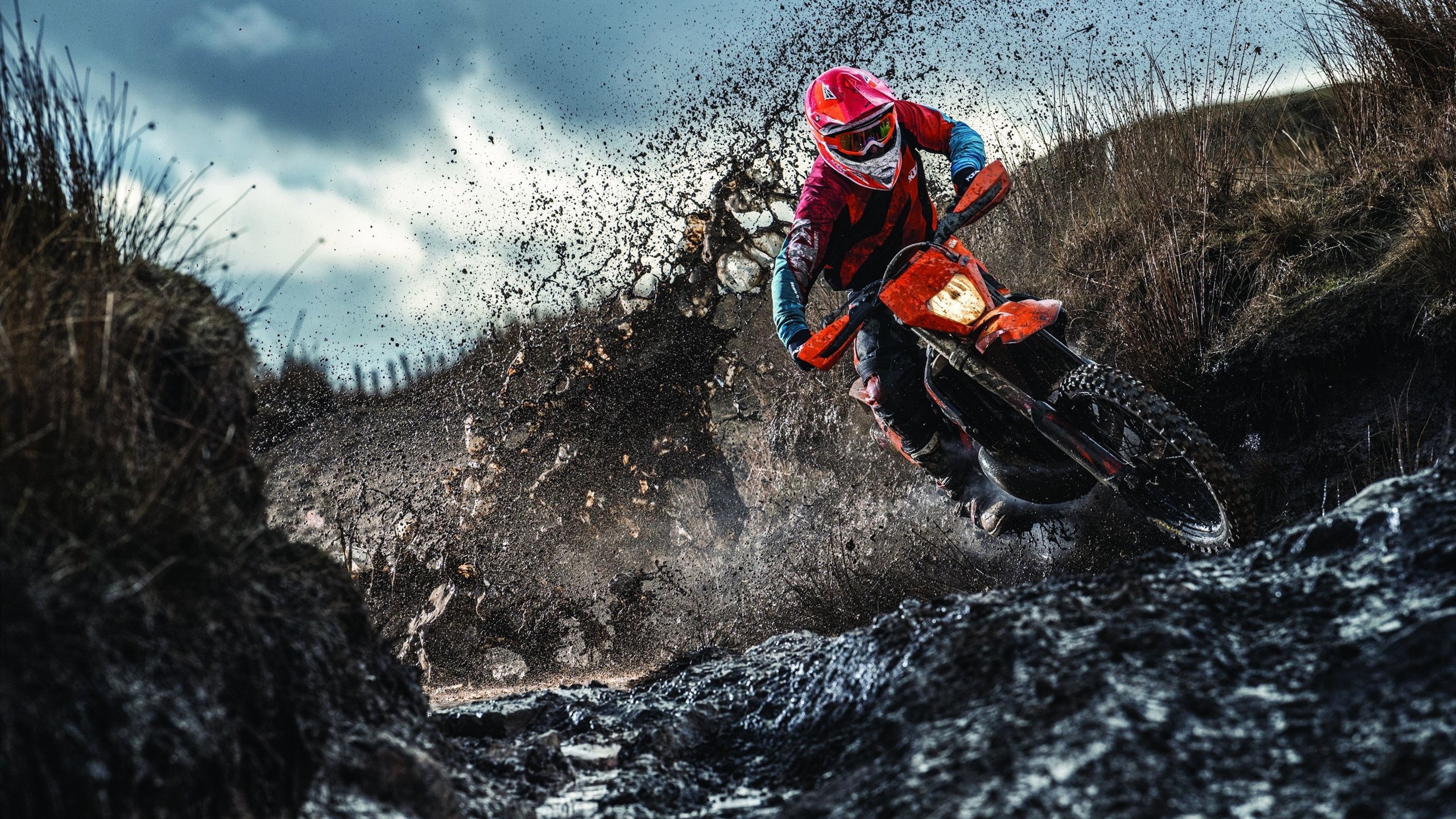 西亚卡姆化身无解战神,尼克斯窒息时刻绝杀辽宁